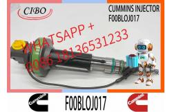 China Fuel Injector Assembly F00BLOJ017 F00BLOJ018 0986435611 F00BLOJ019 Y431K05246For Qsk19 Engine supplier