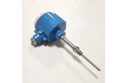 China OEM Support Hot Industrial Flameproof Thermocouple Temperature Monitoring Instrument supplier