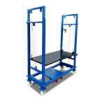 Foldable Mobile CE Scaffold Lift Cargo Ladder 1.5-3m for sale
