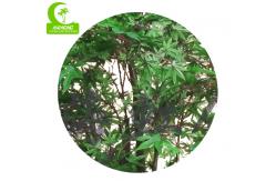 China Realistic Flame Retardant H200cm Artificial Maple Plant Good Looking supplier