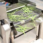 Silver Fruit And Vegetable Processing Line for Processing of Vegetables