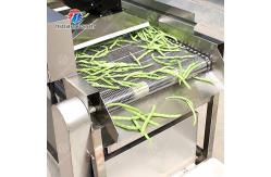 China Silver Fruit And Vegetable Processing Line for Processing of Vegetables supplier