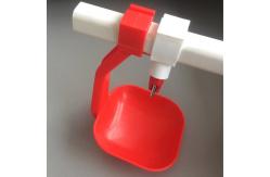 China Plastic Poultry Feeder&Drinker 100pcs/Box MOQ Durable and Reliable Feeding Supplies supplier
