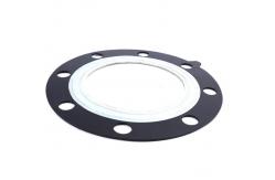 China Custom EPDM NBR PTFE Composite Gasket Vaillant Boiler Diaphragm supplier