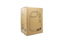 China PSE 2L Portable Lightweight Oxygen Concentrator Small IMD Panel Intelligent Control supplier