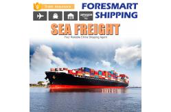 China 20FT FCL International Shipping Sea Freight supplier