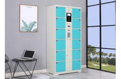 China ODM Smart Electronic Locker supplier