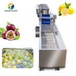 380V Fruit And Vegetable Processing Line Fully Automatic Cleaning Drying Grading for sale
