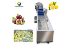China 380V Fruit And Vegetable Processing Line Fully Automatic Cleaning Drying Grading supplier