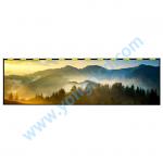 Original in stock DV438FBD-N50 43.8 inch 3840(RGB)×1080 LCD Display Screen for sale