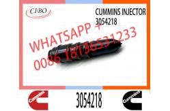 China Diesel Engine Spare Parts NT855 NTA855 Fuel Injector 3018566 3054218 supplier