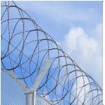 Blade Fencing Barb 450mm Concertina Razor Wire Bto-18 for sale