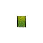 LS055B3SX01A 5.5 inch lcd touch display modules for Mobile Phone for sale