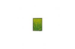 China LS055B3SX01A 5.5 inch lcd touch display modules for Mobile Phone supplier
