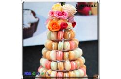 China New Design 10 Tier Macaron Tower Disposable Food Tray supplier