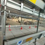 100kgs H Type Battery Broiler Chicken Cage System 120 Birds ISO9001 Listed for sale