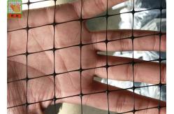 China Plastic Carpet Cushion Netting PP Materials Mildew Resistant Hole Open 15mmx 25mm supplier