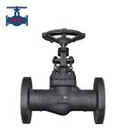 Cast Steel Stainless Steel Forged Steel Globe Valve For Thermic Oil for sale
