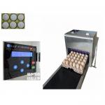 Full Automatic  Egg Continuous Inkjet Printer With 600 DPI Printing Resolution for sale