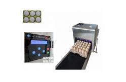 China Full Automatic  Egg Continuous Inkjet Printer With 600 DPI Printing Resolution supplier