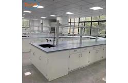 China Anti Corrosion Chemical Resistant Lab Tables Multifunctional Durable supplier