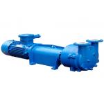 Cast Iron 11KW SS316L 415V Water Ring Vacuum Pump for sale