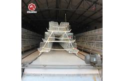 China 3 Tiers Full Automatic Broiler Baby Chick Cage With Sliding Grids supplier