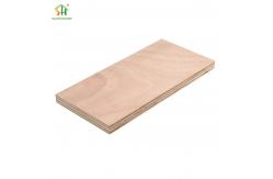 China 500kg/m3-650kg/m3 Eucalyptus Core Plywood Melamine Board 18mm supplier