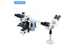 China Inclined 22mm Multi Viewing Microscope Opto-Edu A17.0950-3 supplier