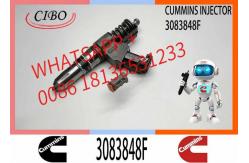 China Hot Sale Diesel Fuel Injector 3411759 3083848F For Cummins N14 Engine supplier