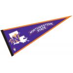 Durable Polyester Felt Pennant Flag CMYK Printing For Event 30x45cm for sale