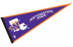 China Durable Polyester Felt Pennant Flag CMYK Printing For Event 30x45cm supplier