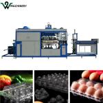 Automatic Plastic Vacuum Forming Machines Coffee Cup Lid Making Machine
