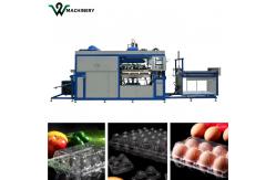 China Automatic Plastic Vacuum Forming Machines Coffee Cup Lid Making Machine supplier