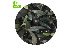 China H160cm Artificial Potted Floor Plants , Silk Olive Tree Anti Aging supplier