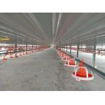 Drinking Automatic Chicken Feeding System For Chicken Poultry Farming Equipment for sale
