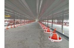 China Drinking Automatic Chicken Feeding System For Chicken Poultry Farming Equipment supplier