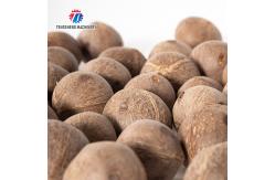 China 150KG 1.1KW Electric stainless steel coconut peeling machine coconut peeling machine processing supplier