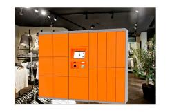 China Logo Brand Website Intergrate Laundry Locker Self - Service Touch Screen supplier
