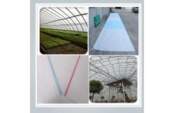 China Spunbond Nonwoven Floating Row Cover For Cold Weather Freeze Protection supplier