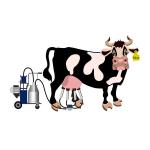 Single Bucket 25L Small Dairy Milking Equipment 51kg Piston Type Milking Machine for sale