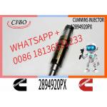 Common rail injector fuel injecto 2894920PX 2058444 2482244 2031386 for ISZ13 Excavator DC09 DC16 DC13 for sale