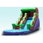 Inflatble Slide / inflatable pool slide / inflatable giant water slide for sale