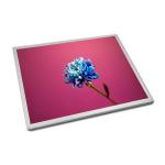 15.0 inch display TM150TDSG52 TFT LCD screen with 1024(RGB)×768 TM150TDSG52 for sale