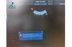 China GE RAB4-8-D Convex Ultrasound Transducer Probe 4D Repair And Dome Replacement supplier