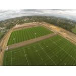 SGS Approved Plastic 9000 Dtex Artificial Turf Grass Eco-Friendly for sale