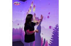 China Multi Scene Interactive Holographic Immersive Projection Experience for Commercial Spaces supplier