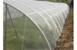 China 2x30m UV Resistant Anti Insect Fly Screen Mesh Growing Vegetable White Netting supplier
