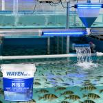Indoor Waterproof Aquaculture Paint Boat Paint Koi Pond Painting