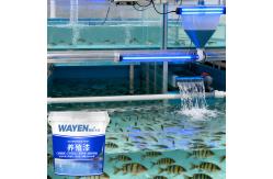 China Indoor Waterproof Aquaculture Paint Boat Paint Koi Pond Painting supplier